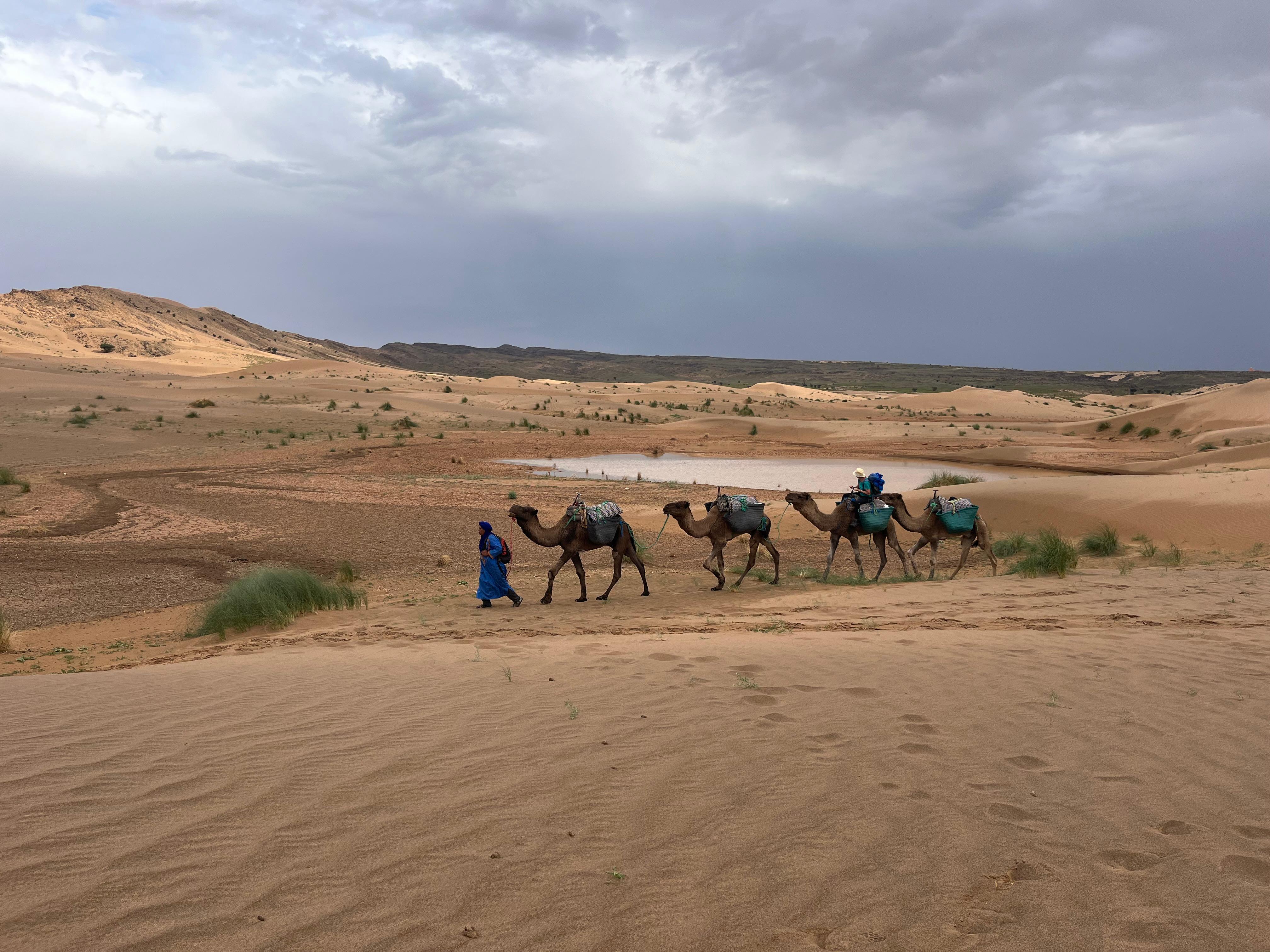 Magie der Sahara und Marrakesch